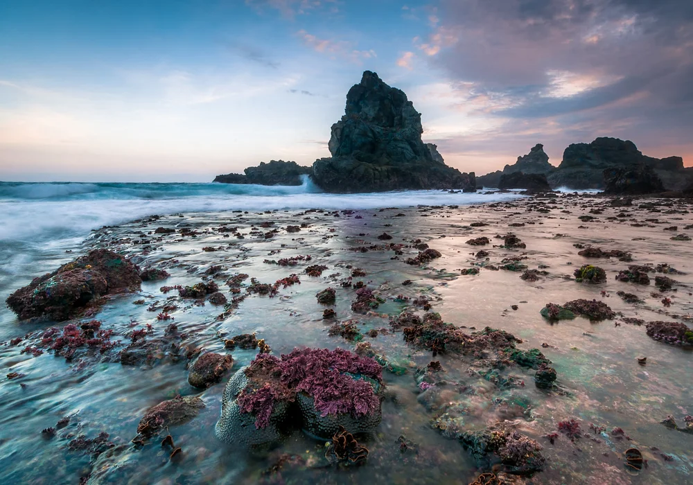 TAMPAH BEACH