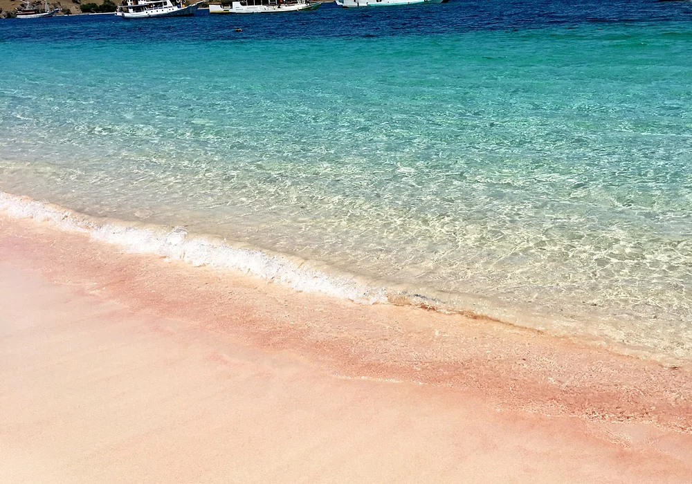 Pantai pink warna Pink