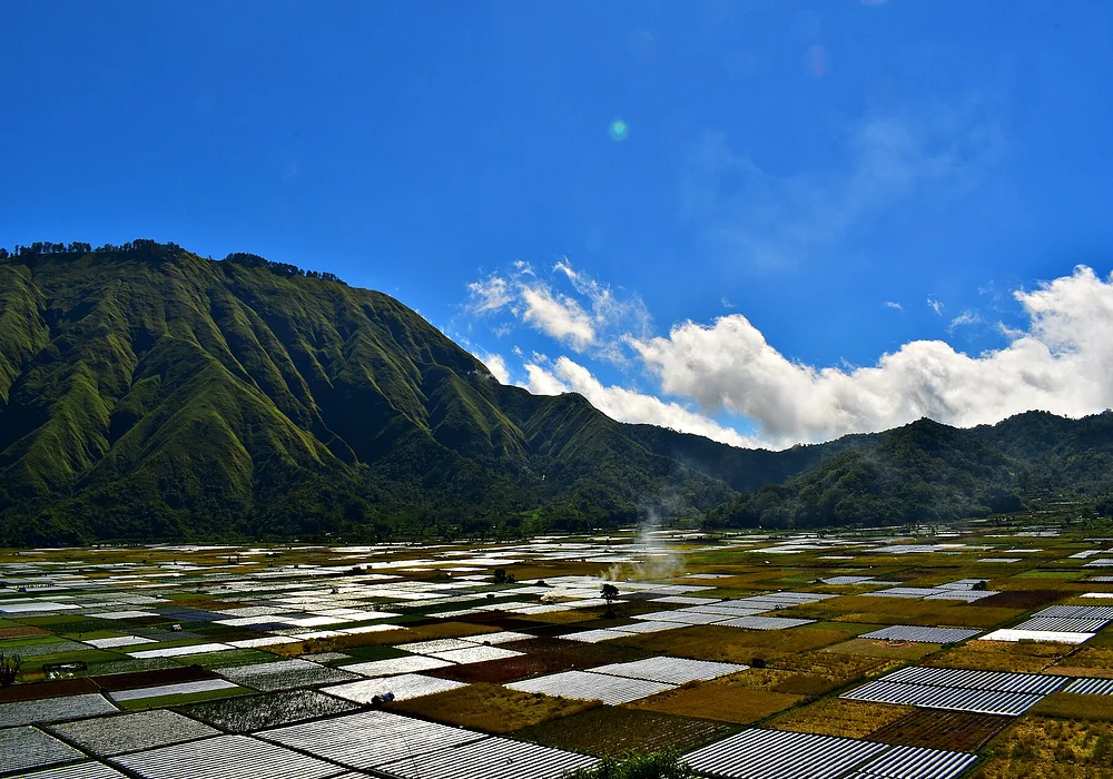 merupakan bukit yang berada di kawasan desa adat bukit selong dimana jika sudah sampai diatas bukit maka kita dapat melihat petak sawah warga.