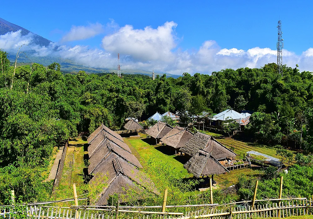 desa adat sendiri telah berdiri lama di daerah ini namun tidak ada yang tahu pasti asal mula sejarah dari desa ini, terletak di kawasan hutan bambu.