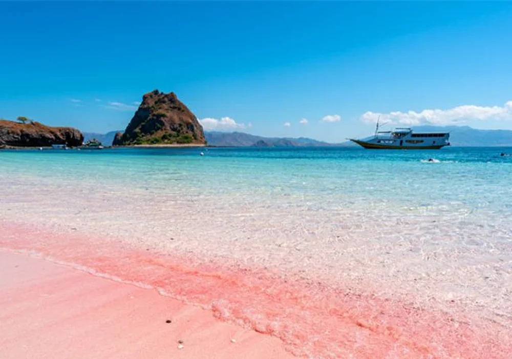Komodo island