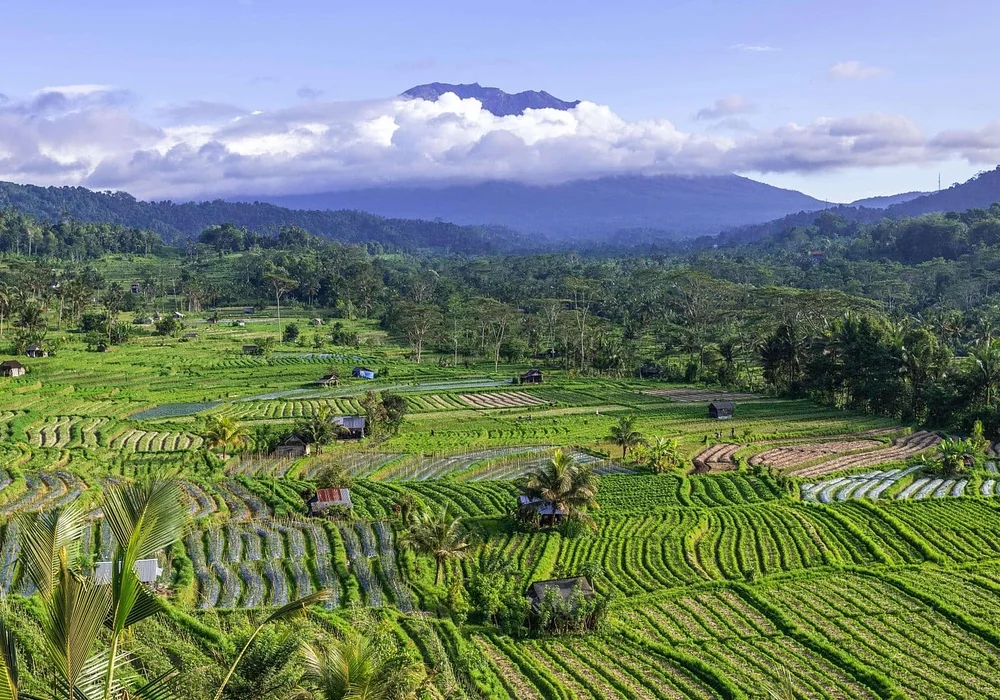 Sidemen bali